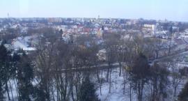 zdjęcie nr 15