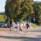 zdjęcie nr 35