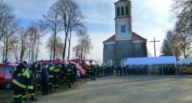 Fotka nr 2 z 11
