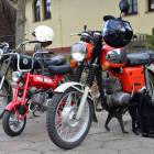 zdjęcie nr 9