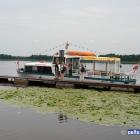 zdjęcie nr 11