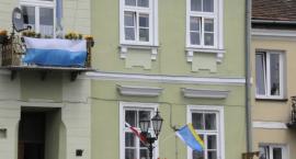 zdjęcie nr 8