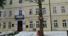 Fotka nr 5 z 9