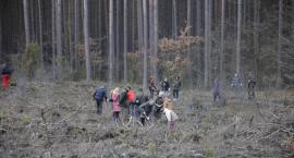 zdjęcie nr 16