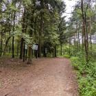 zdjęcie nr 15
