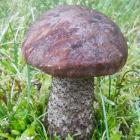 zdjęcie nr 7