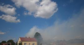 zdjęcie nr 25