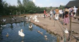 zdjęcie nr 49