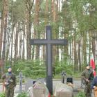 zdjęcie nr 22
