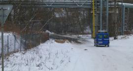 Fotka nr 1 z 7