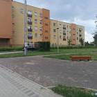 Fotka nr 3 z 4