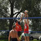 zdjęcie nr 17