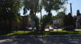 zdjęcie nr 12