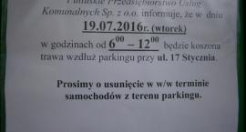 Fotka nr 2 z 6
