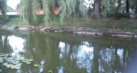 Fotka nr 1 z 6