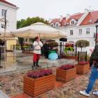 zdjęcie nr 72