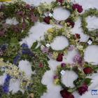 zdjęcie nr 71