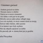 zdjęcie nr 37