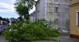 zdjęcie nr 18