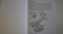 zdjęcie nr 9