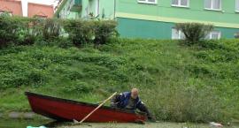 zdjęcie nr 8