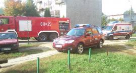 zdjęcie nr 8