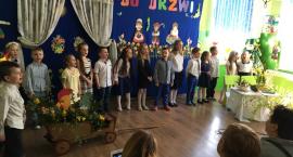 zdjęcie nr 16