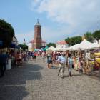 zdjęcie nr 8