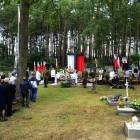 zdjęcie nr 74