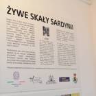 zdjęcie nr 33