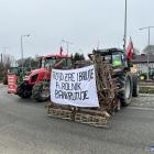 zdjęcie nr 10