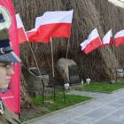 zdjęcie nr 8