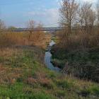 zdjęcie nr 38