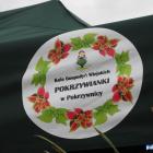 zdjęcie nr 57