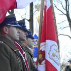 zdjęcie nr 8