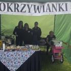 zdjęcie nr 12