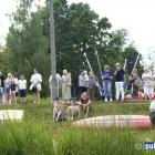 zdjęcie nr 83