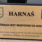 zdjęcie nr 7