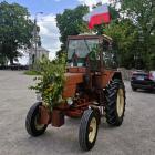 zdjęcie nr 16