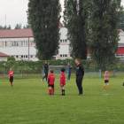 Fotka nr 4 z 196