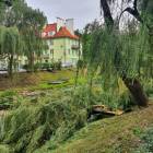 zdjęcie nr 8