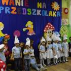 zdjęcie nr 14