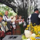 zdjęcie nr 134