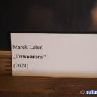 zdjęcie nr 42