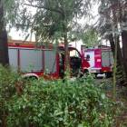 Fotka nr 4 z 12