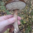 zdjęcie nr 33