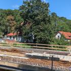 zdjęcie nr 8