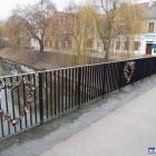 zdjęcie nr 11