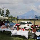 zdjęcie nr 38