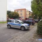 Fotka nr 2 z 5